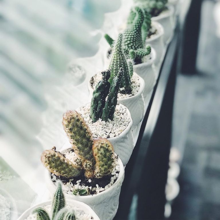 恋愛成就の最強で強力な待ち受け画像51選 年版 スピリ